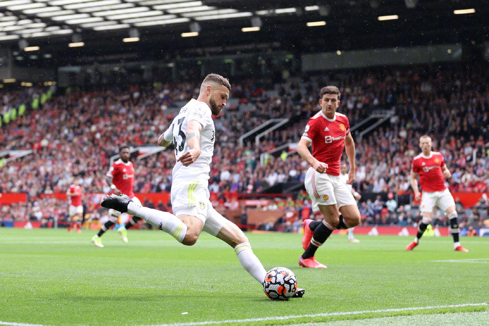 从社交媒体 从社交媒体